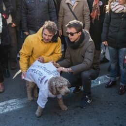 Manifestación en Granada #2HospitalesYa