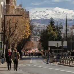 Manifestación en Granada #2HospitalesYa